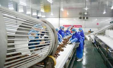 科技賦能鮮味體驗 每日優鮮小龍蝦節開啟，超聲技術驅動生鮮開發新篇章